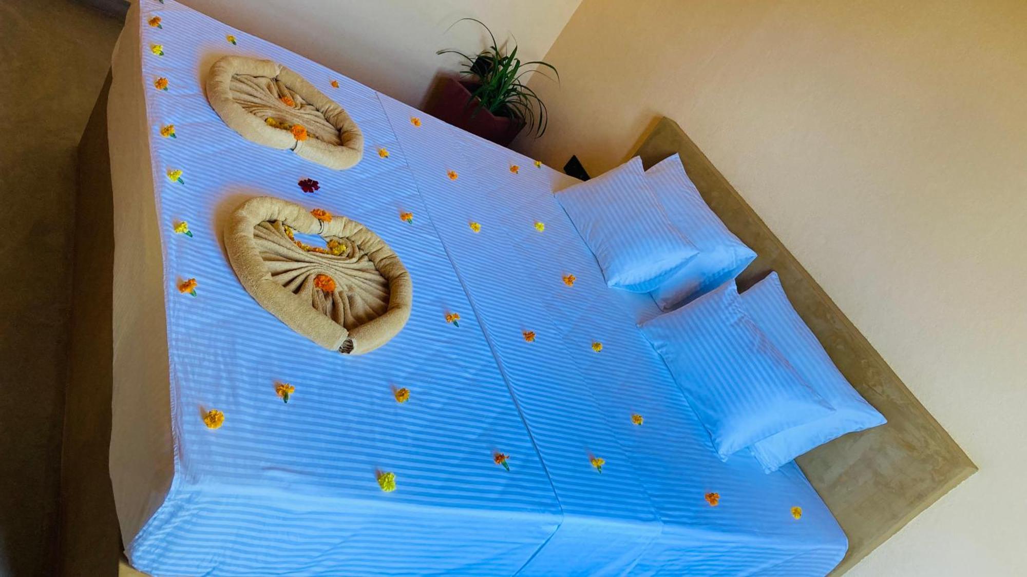 Appartement Ayubowan Hiriketiya à Dikwella Extérieur photo